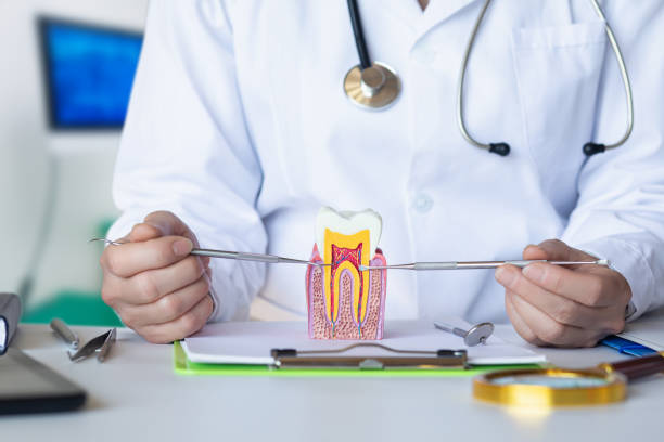 Best Broken Tooth Emergency  in Zeeland, MI